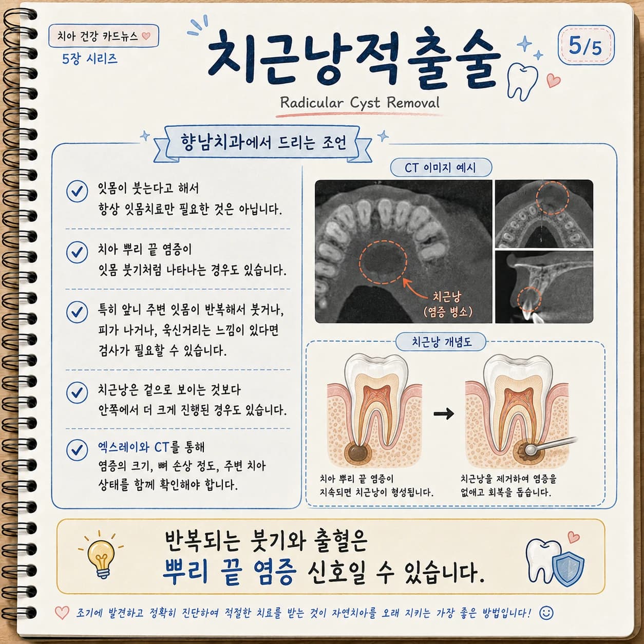 치아 뿌리와 주변 뼈까지 검사해야 한다는 내용을 정리한 원문 설명 그림